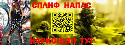 трава Моздок