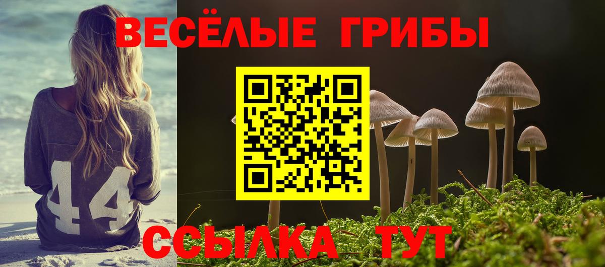 что такое   Вход с VPN  Усолье-Сибирское  Галлюциногенные грибы Psilocybe 
